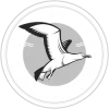 Logo Albatros